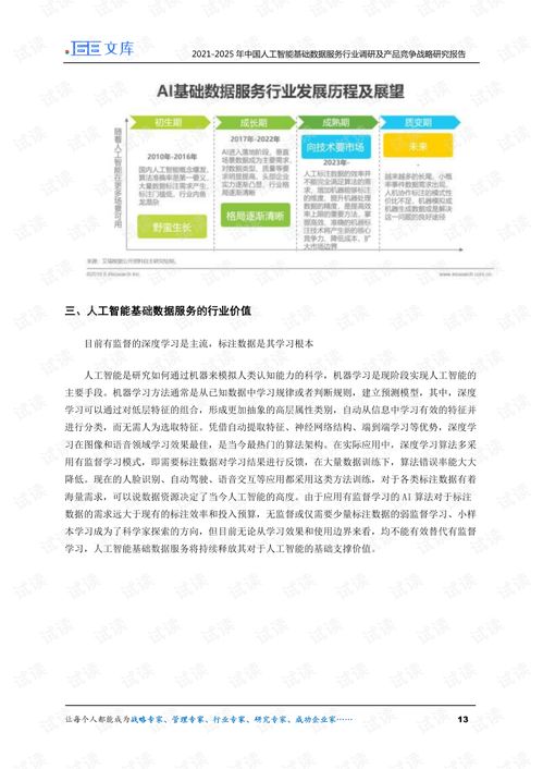 人工智能基礎(chǔ)數(shù)據(jù)服務(wù)與行業(yè)應(yīng)用系統(tǒng)集成 2021-2025年調(diào)研與競爭戰(zhàn)略分析