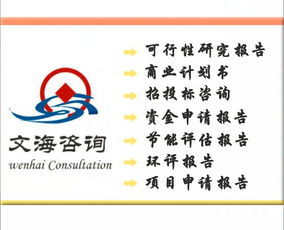 皮革項(xiàng)目商業(yè)計(jì)劃書編制服務(wù) 價格、規(guī)格與專業(yè)咨詢