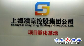 頌京控股集團旗下網絡科技公司 立足上海，引領數字化服務新浪潮